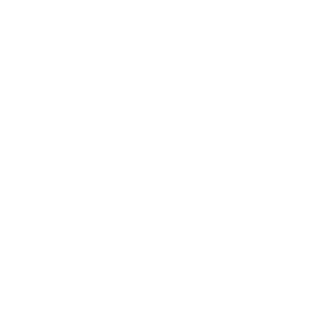 BNZ logo reversed