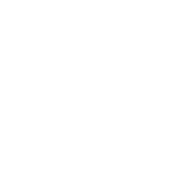 Canoe Racing New Zealand logo reversed