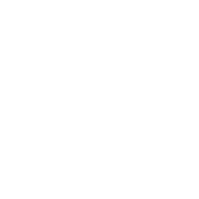 NZ Police logo reversed