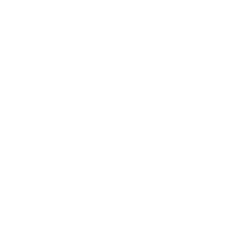 Spark logo reversed