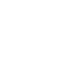 Swimming New Zealand logo reversed