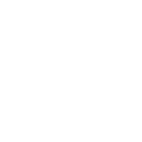 Tip Top logo reversed