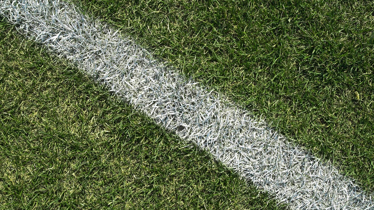 close up of a white line painted on grass