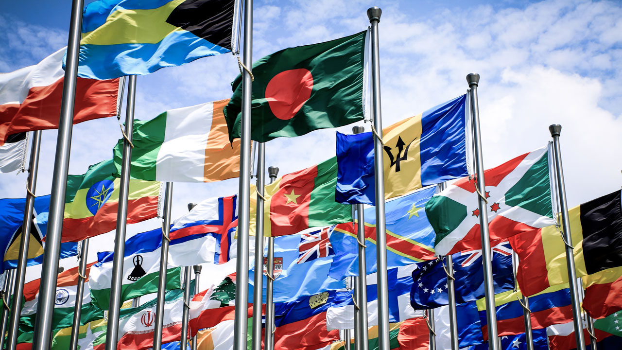 Image of Commonwealth Flags