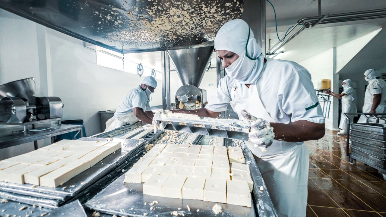 Person in full PPE working in a cheese factory slicing feta 